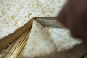Guide du fromage Récits et légendes de quelques grands fromages