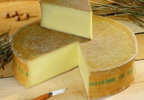 Fabrication et affinage de chaque famille de fromages Les fromages à pâtes pressées cuites