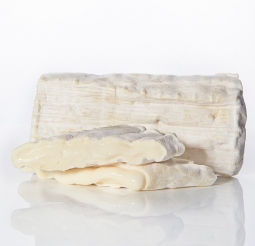 Cheeses of the world - Briquette du Fédou