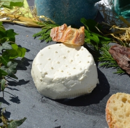 Cheeses of the world - Caillade 