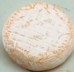 Cheeses of the world - Abbaye de Chambarand