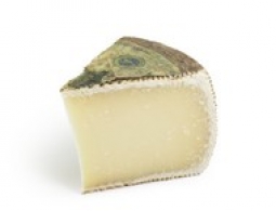  世界のチーズ - Pecorino Sardo