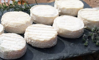  世界のチーズ - Pélardon