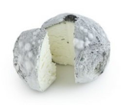 Fromages du monde - Wabash Cannonball