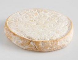 世界上的各种奶酪 - Reblochon de Savoie