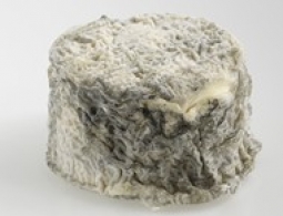 Cheeses of the world - Bonde de Gâtine