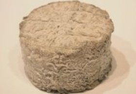 世界上的各种奶酪 - Chèvre de la Gâtine