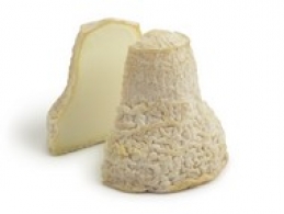 Cheeses of the world - Clochette 