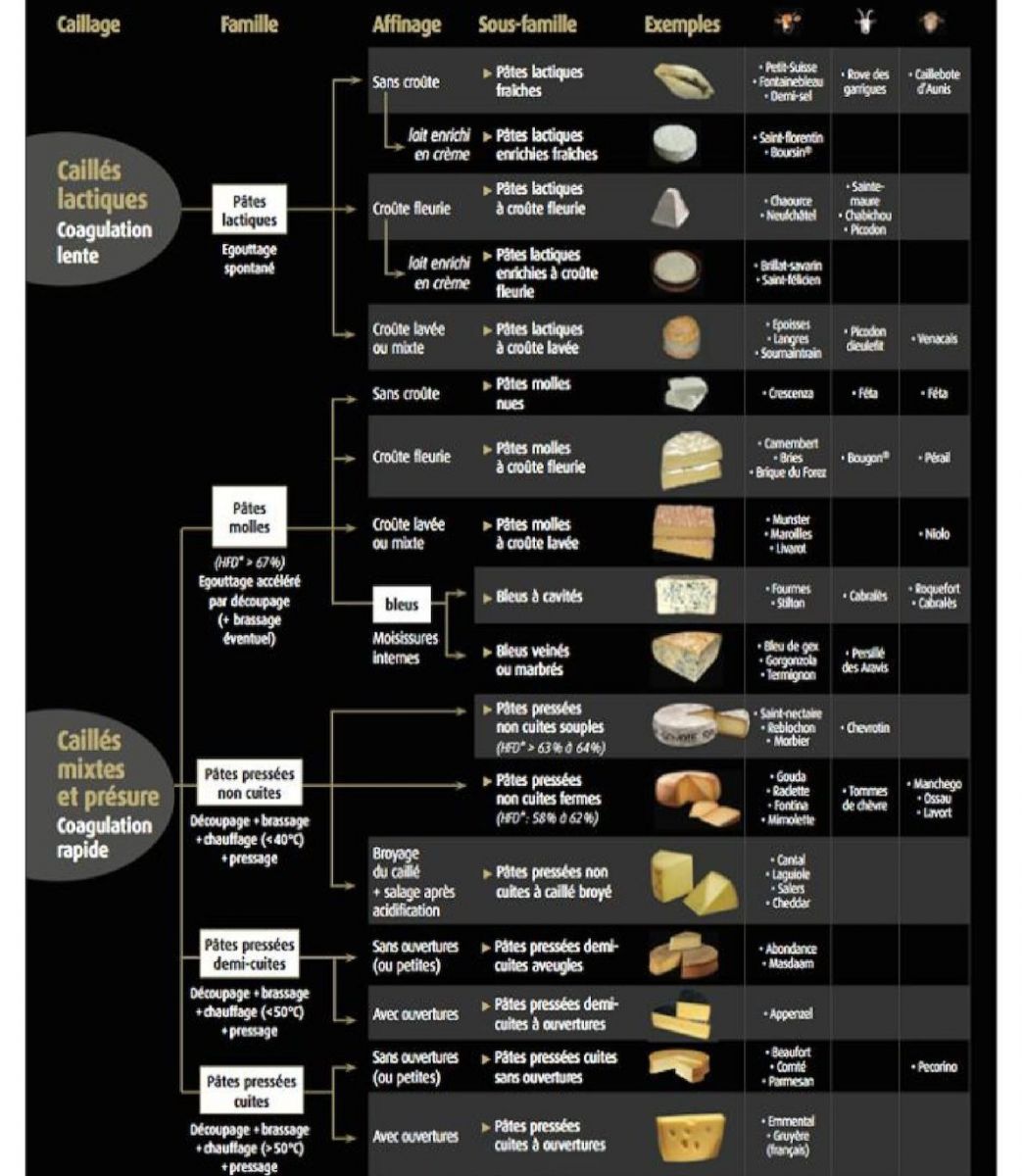 Les grandes familles technologiques du fromage