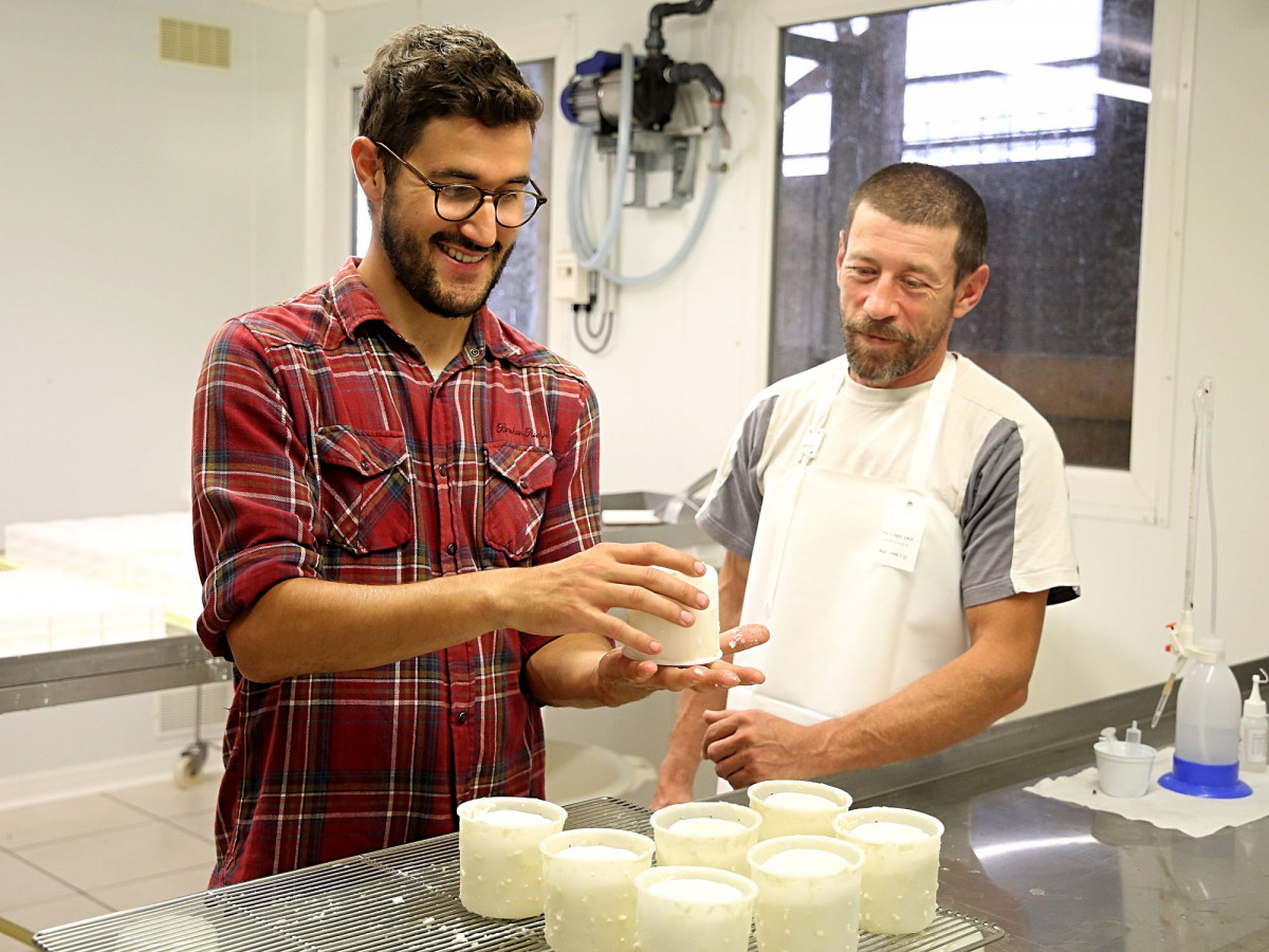 Cheese making workshops and courses. Come and learn how to make 3 cheeses. 