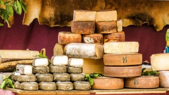 Les fromages par pays Le fromage au Canada