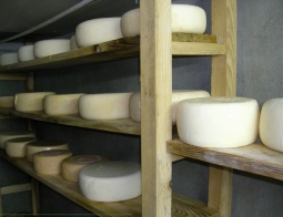 A guide to cheese Fabrication and maturing of each type of cheese