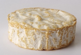 Fabrication et affinage de chaque famille de fromages Les fromages à pâtes molles à croûte fleurie