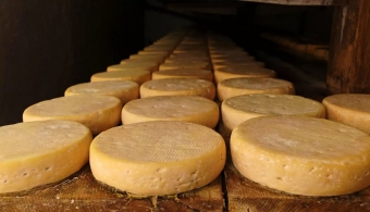 Les fromages par région Le fromage alsacien
