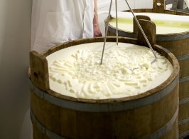 Les grands principes de fabrication du fromage Le matériel de fromagerie
