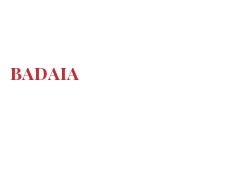 Fromages du monde - Badaia