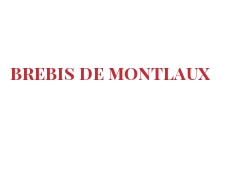  世界のチーズ - Brebis de Montlaux