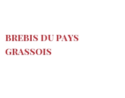 दुनिया भर के चीज - Brebis du pays grassois
