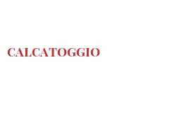 Cheeses of the world - Calcatoggio