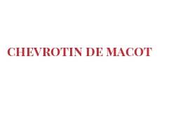 Quesos del mundo - Chevrotin de Macot