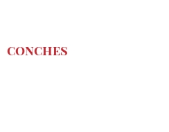 दुनिया भर के चीज - Conches