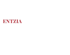 Fromages du monde - Entzia