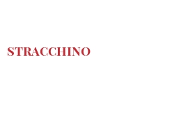 Cheeses of the world - Stracchino