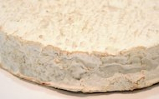 Cheeses of the world - Brie de Montereau ou Ville-Saint-Jacques