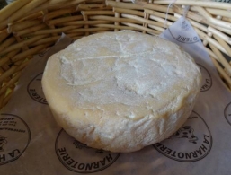 Cheeses of the world - Rocroi
