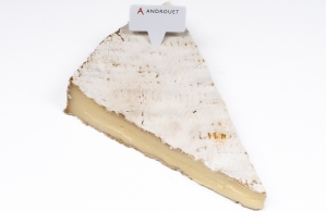 Fromaggi del mondo - Brie de Meaux 