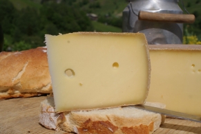 Fromages du monde - Cousin