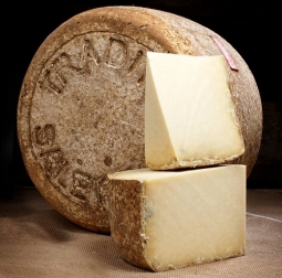 Cheeses of the world - Salers