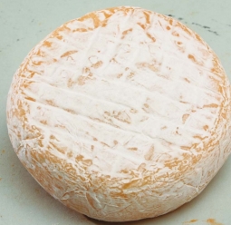 Fromages du monde - Abbaye de Chambarand