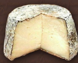 Fromages du monde - Bouca