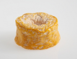 Queijos do Mundo - Langres