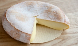 Käse aus aller Welt - Brebichon