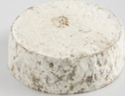  世界のチーズ - Tome des Bauges