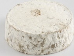 Fromages du monde - Tome des Bauges