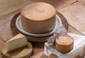 Cheeses of the world - Chèvre de Thiviers