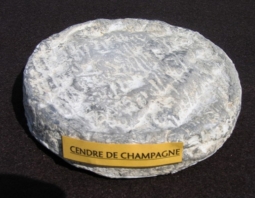 Fromaggi del mondo - Cendré de Champagne