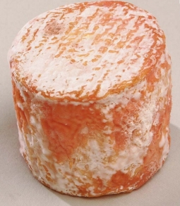 Fromages du monde - Tarentais de chèvre