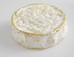 Cheeses of the world - Coulommiers