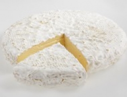 Wereldkazen - Brie de Melun