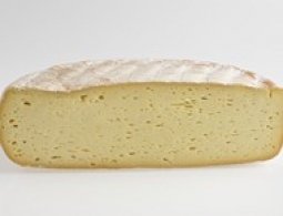 Cheeses of the world - Bethmale