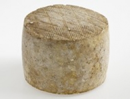 Fromages du monde - Ardi-Gasna