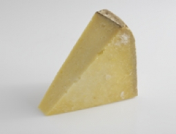 Cheeses of the world - Cantal