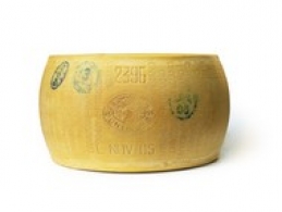 Wereldkazen - Parmesan Reggiano ou Parmigiano Reggiano