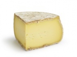  世界のチーズ - Tomme de Chartreux