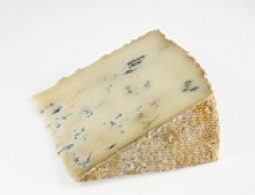 世界上的各种奶酪 - Bleu de chèvre 