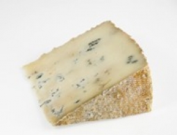 Fromages du monde - Bleu de chèvre 